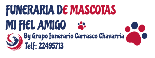 Servicio funerario digno para mascotas